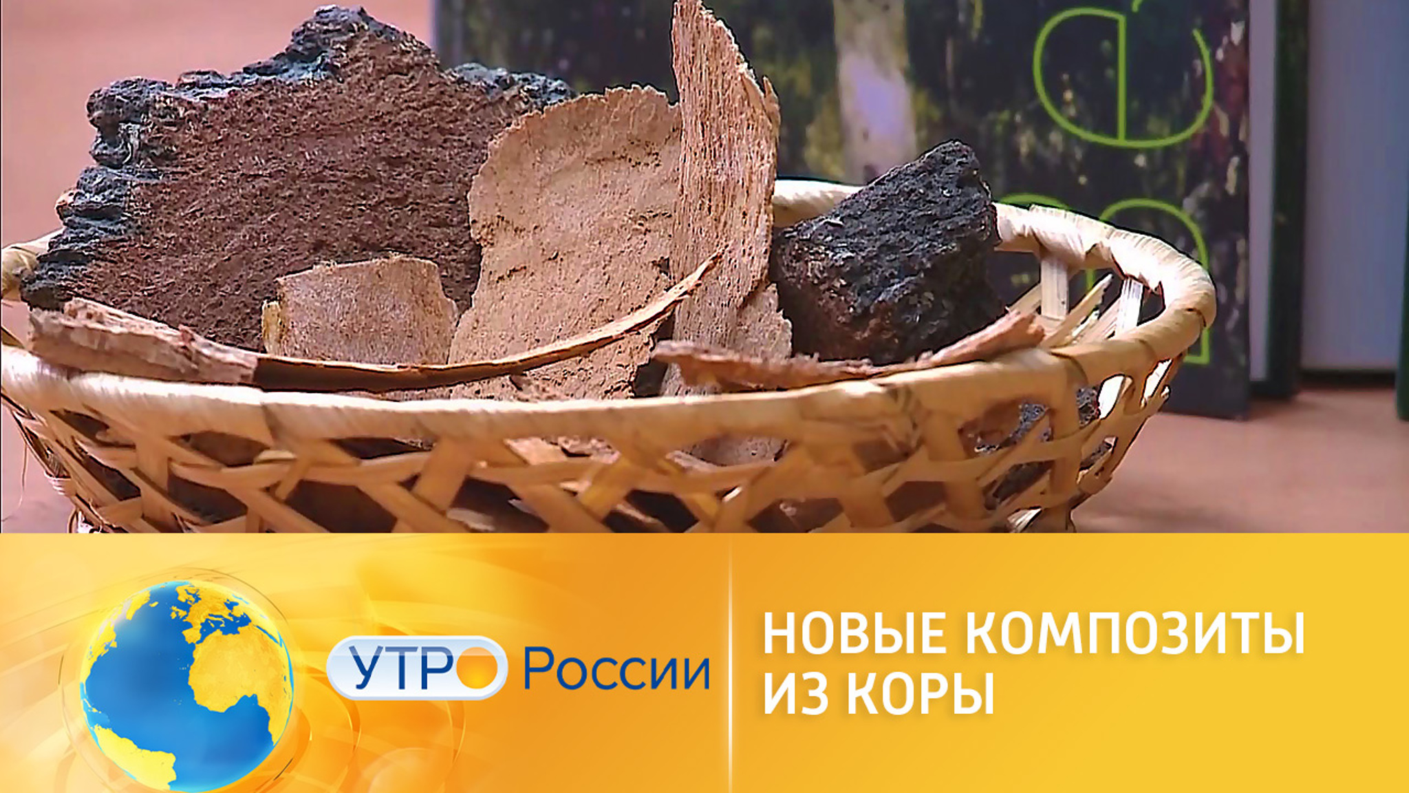 Березовая кора поможет при химиотерапии