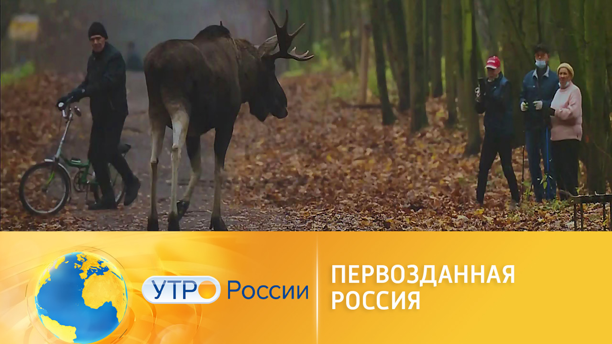 Выставка "Первозданная Россия" открылась в Москве