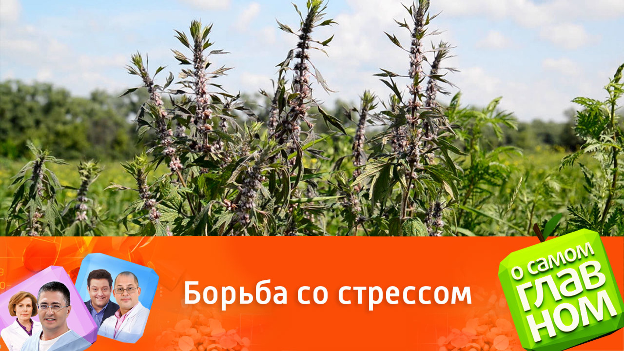 Как справиться со стрессом