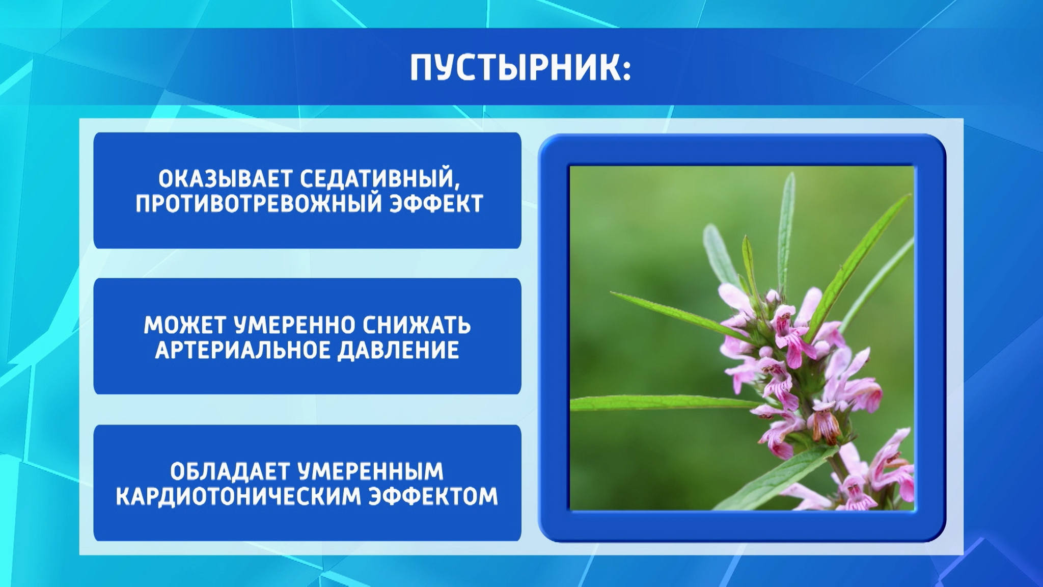 Стали известны простые и действенные способы борьбы со стрессом