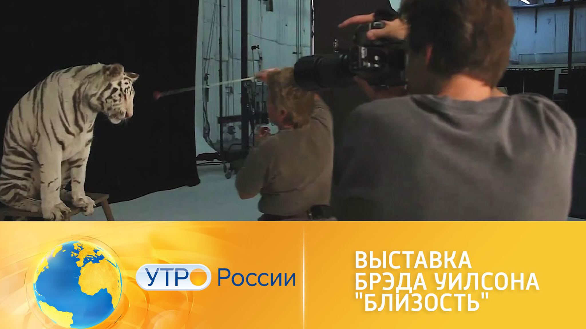 В Москве проходит выставка Брэда Уилсона "Близость"