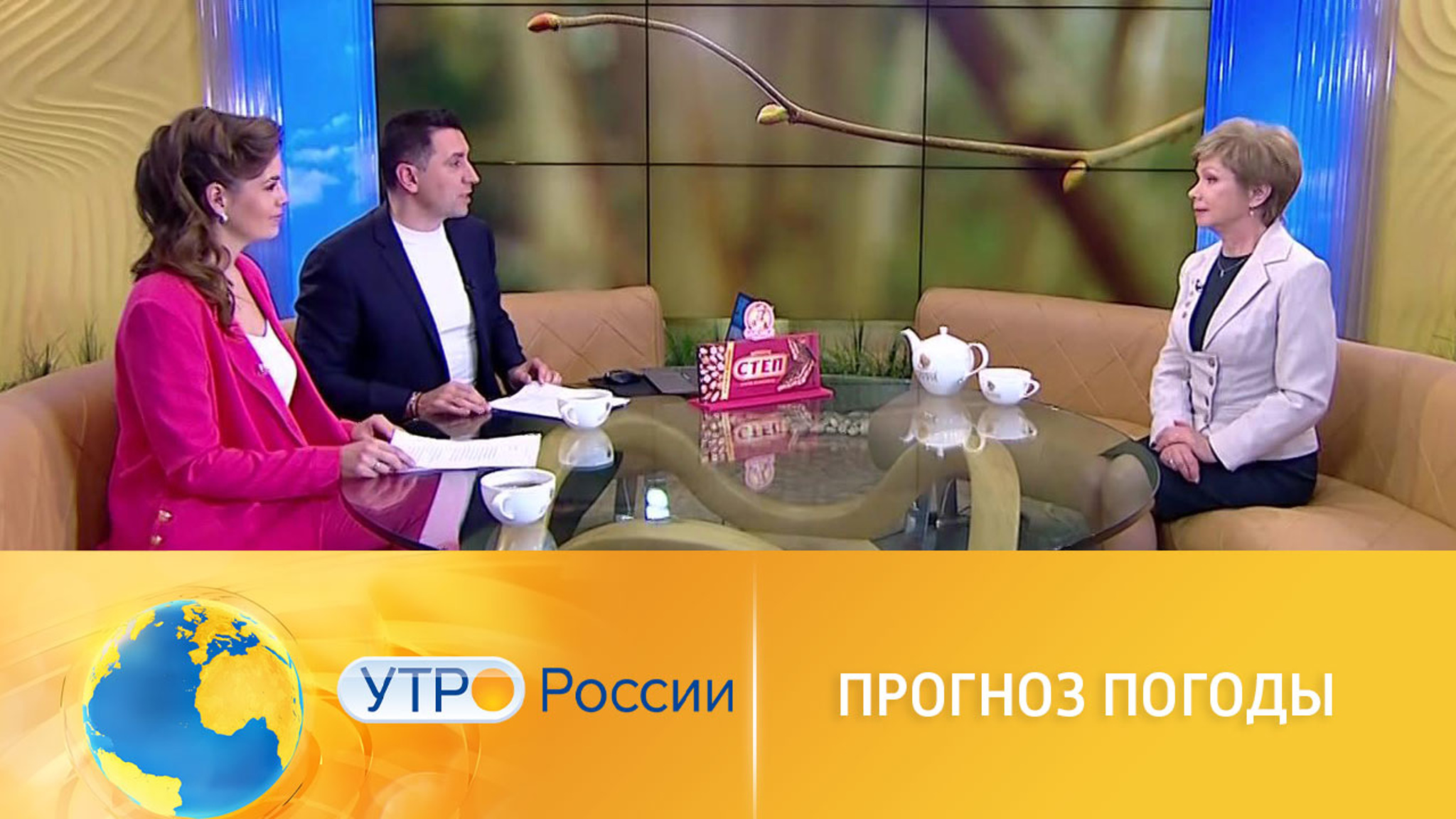 Где пройдет снег, а где – дождь: прогноз погоды в регионах России