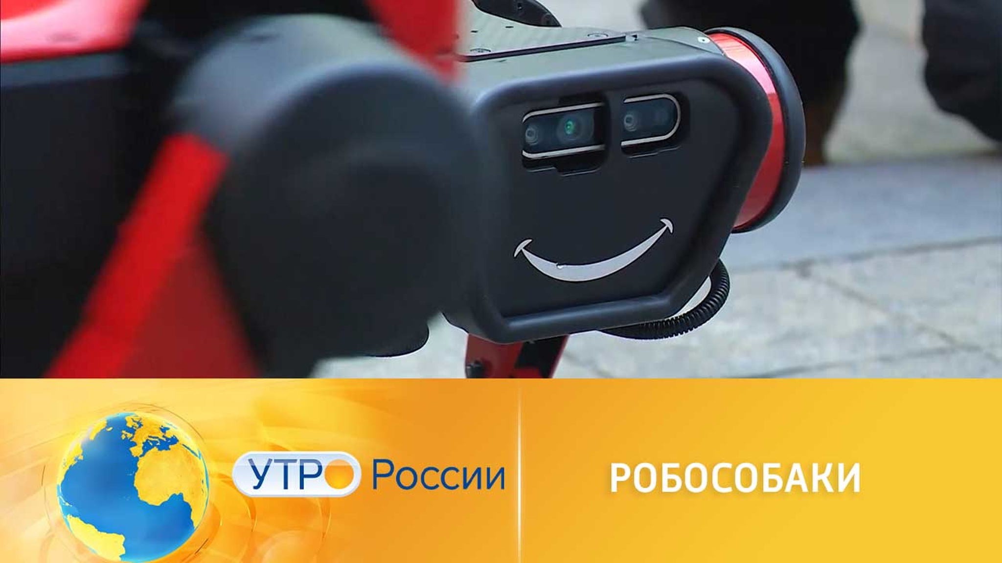 Робособаки возьмут на себя функции жилищных инспекторов