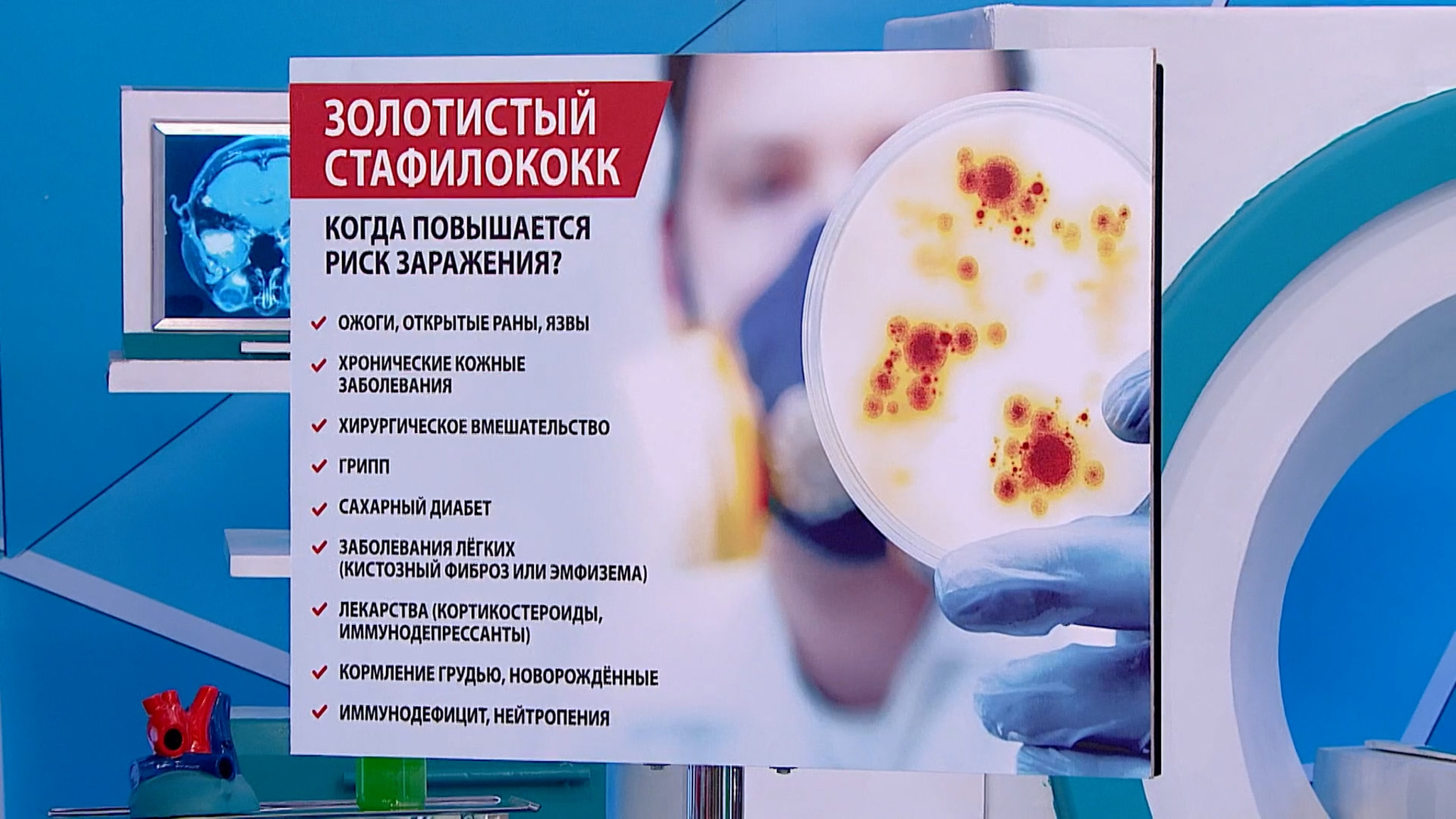 Мясников рассказал, почему золотистый стафилококк смертельно опасен
