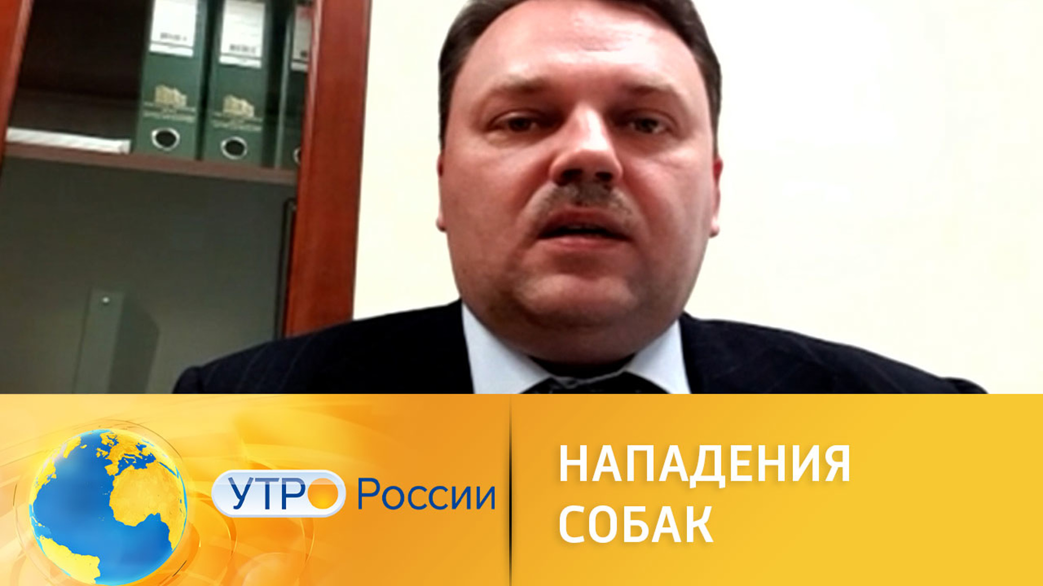 Как решить проблему нападения агрессивных домашних собак