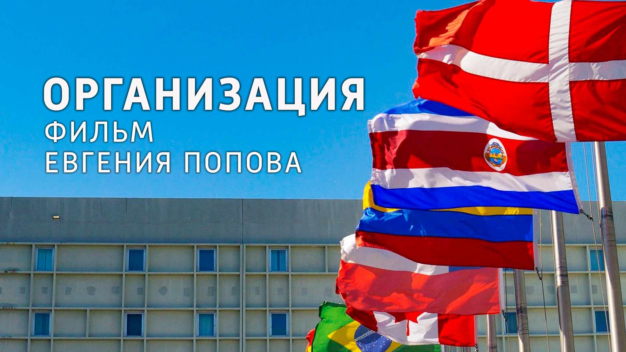 Организация. Фильм Евгения Попова