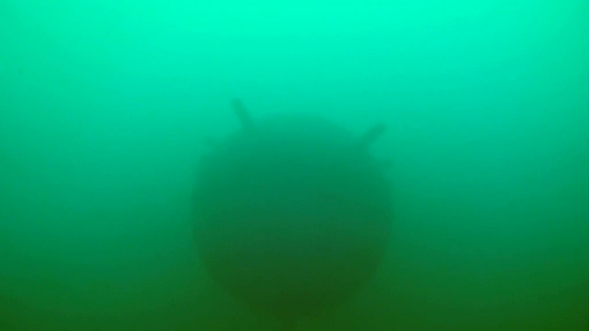 Украинские мины угрожают судоходству в Черном море