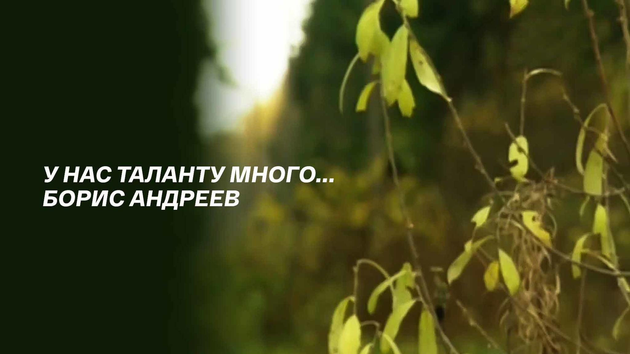 У нас таланту много... Борис Андреев