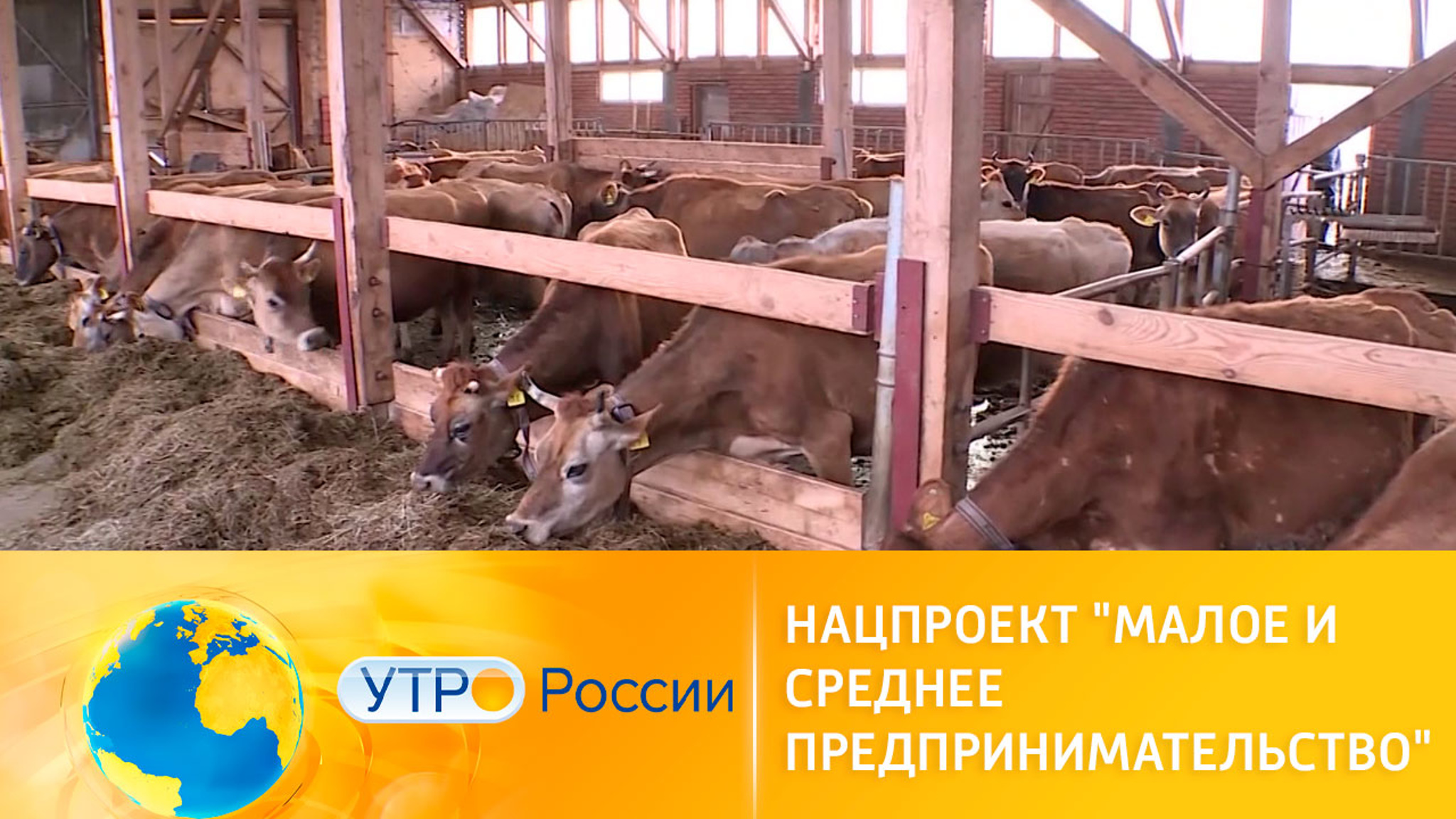 Нацпроект "Малое и среднее предпринимательство". Сельское хозяйство. Агростартапы и поддержка государства