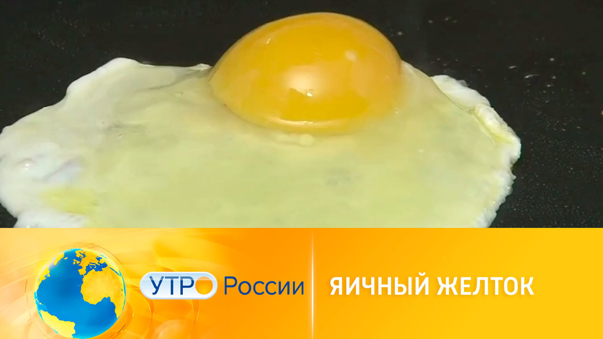 Полезные свойства куриного желтка