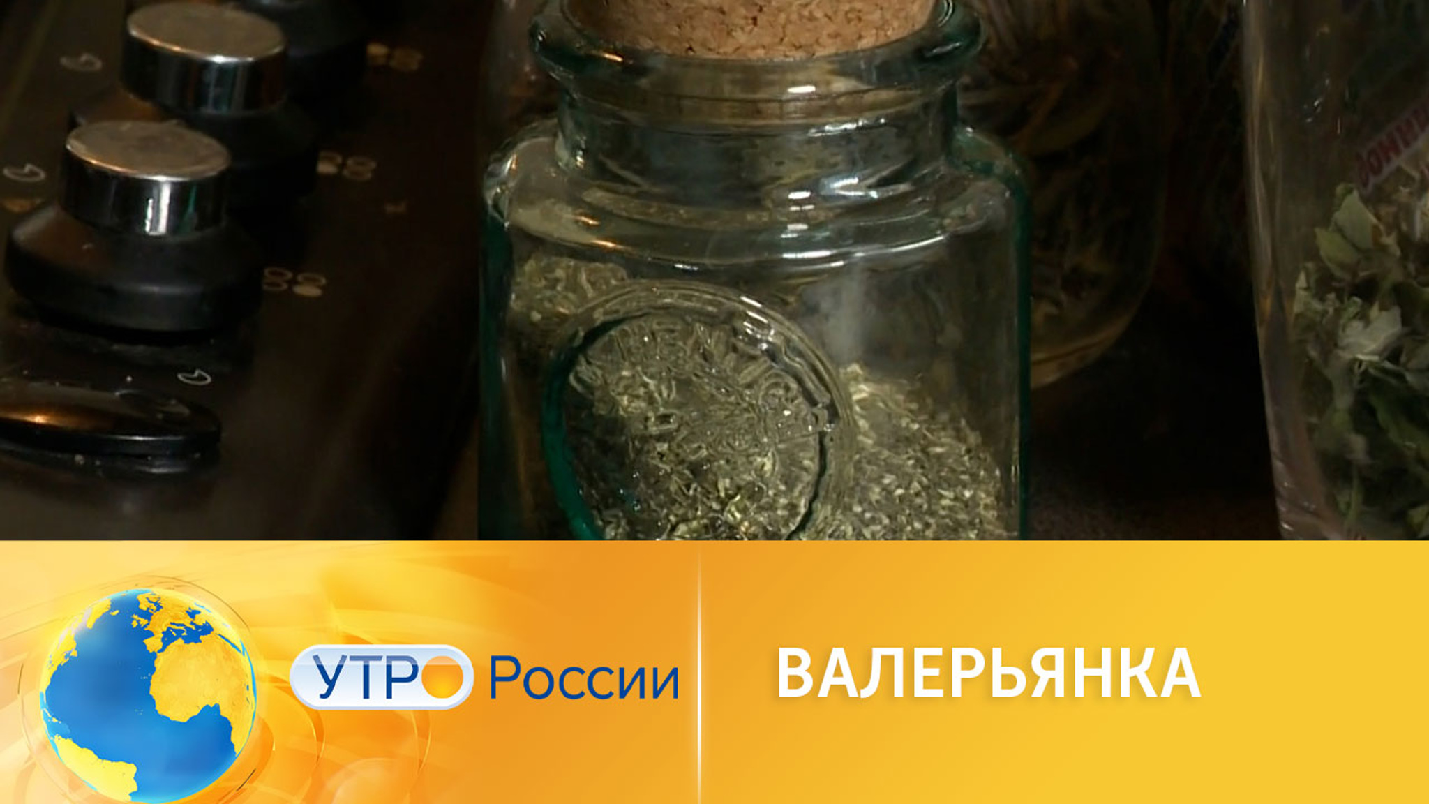 В России идут приготовления к возвращению перелетных птиц