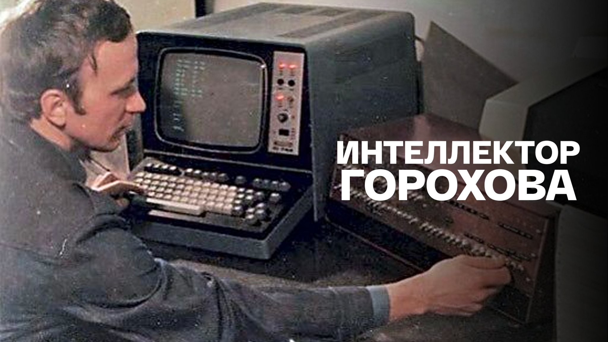 Интеллектор Горохова