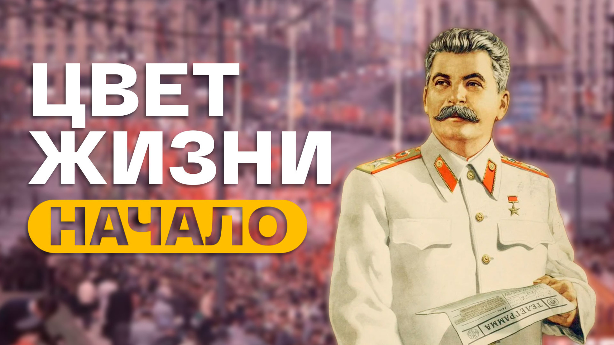 Цвет жизни. Начало