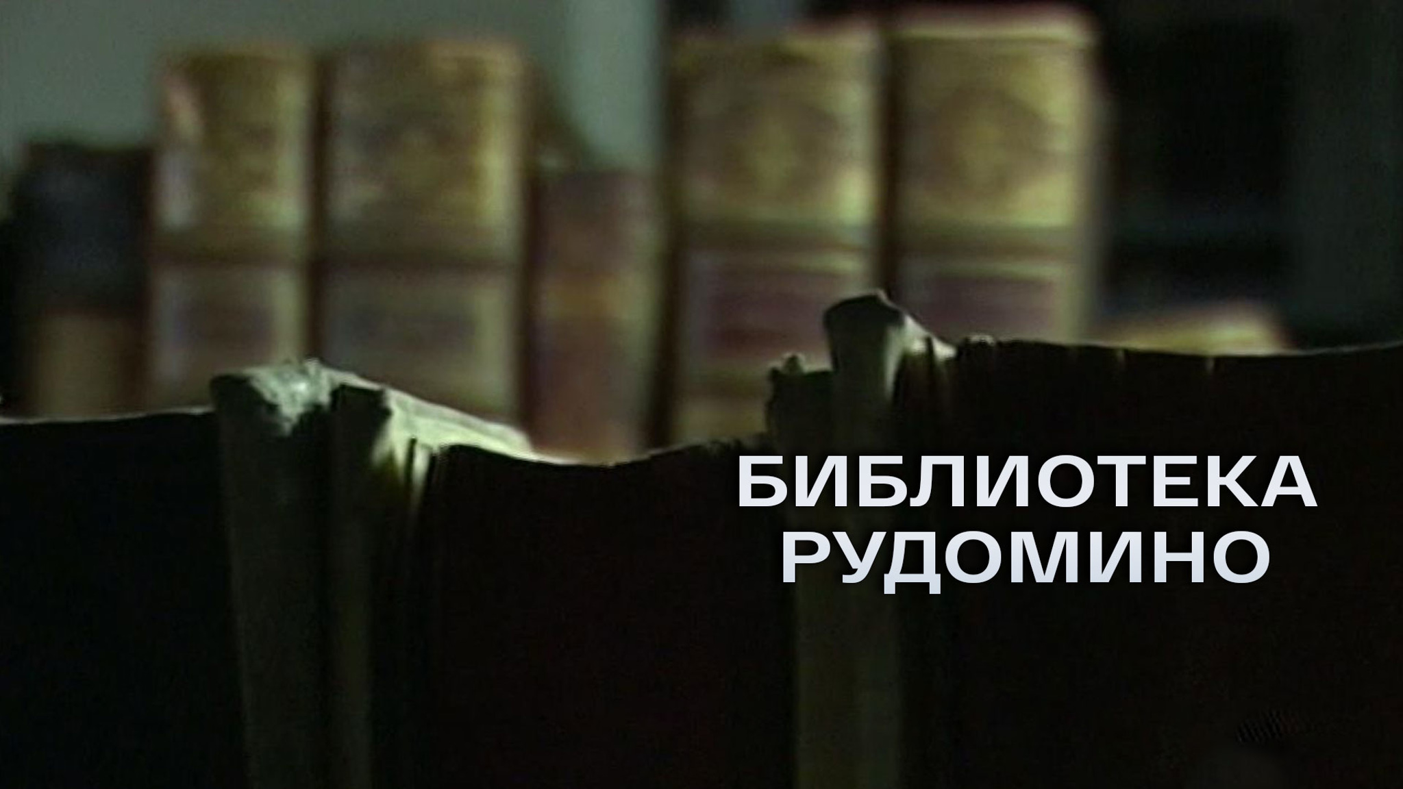 Библиотека Рудомино