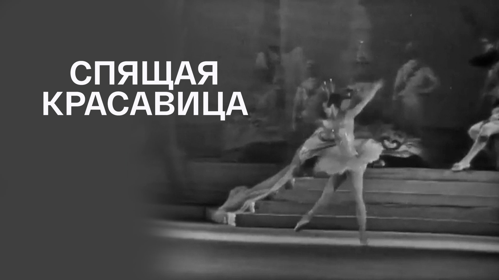 Спящая красавица (Большой театр)