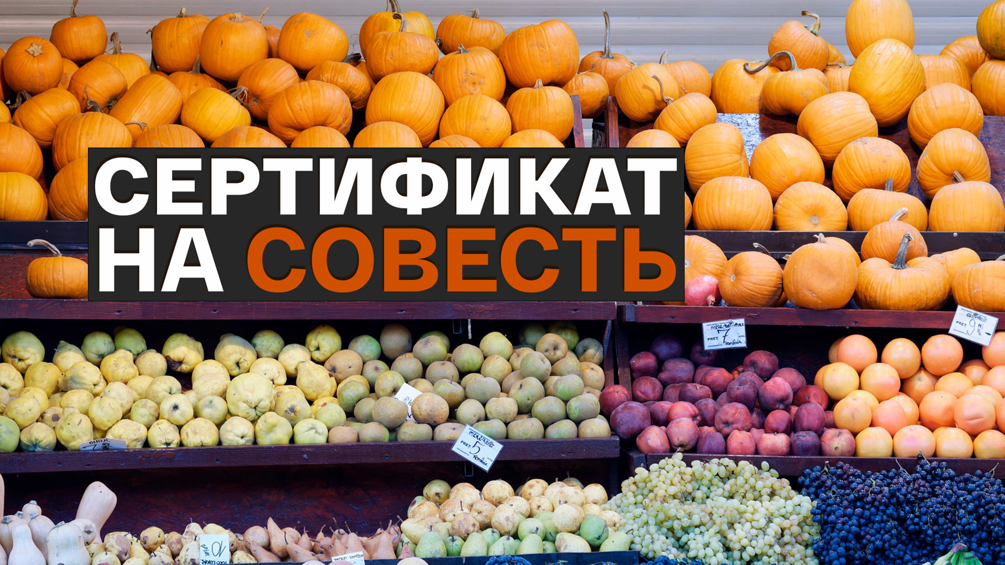 Сертификат на совесть
