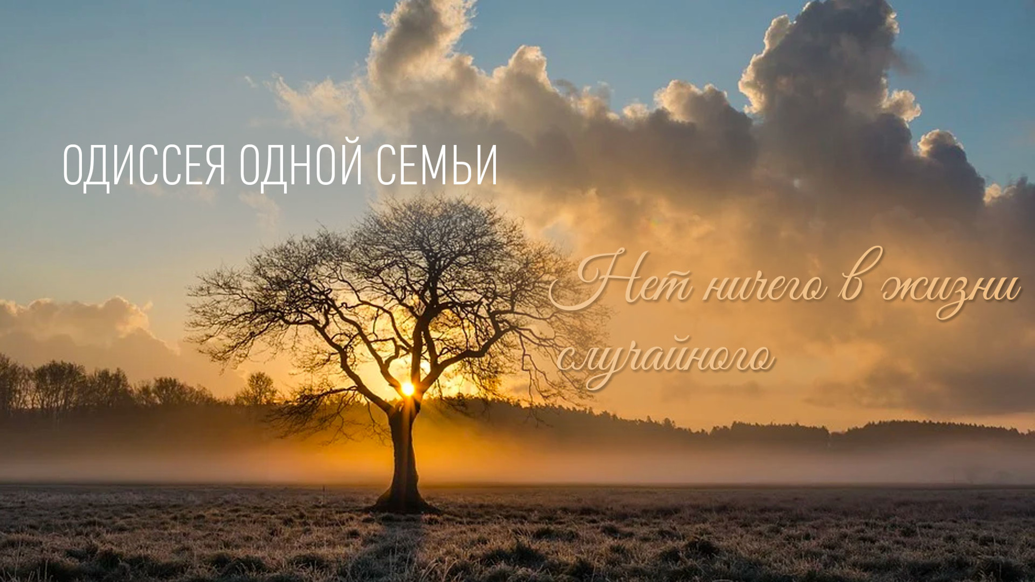 Одиссея одной семьи. Нет ничего в жизни случайного