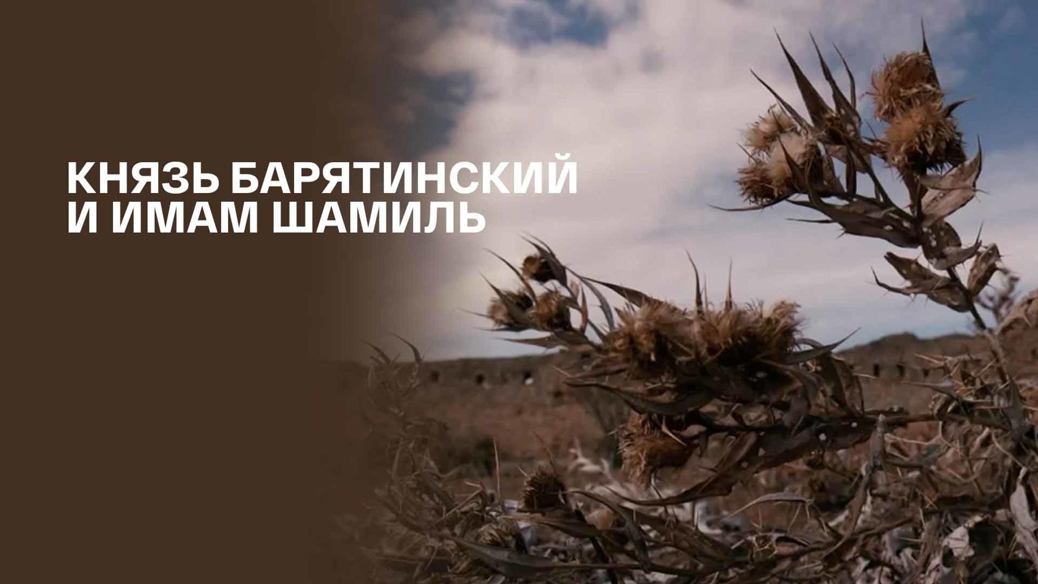Князь Барятинский и имам Шамиль