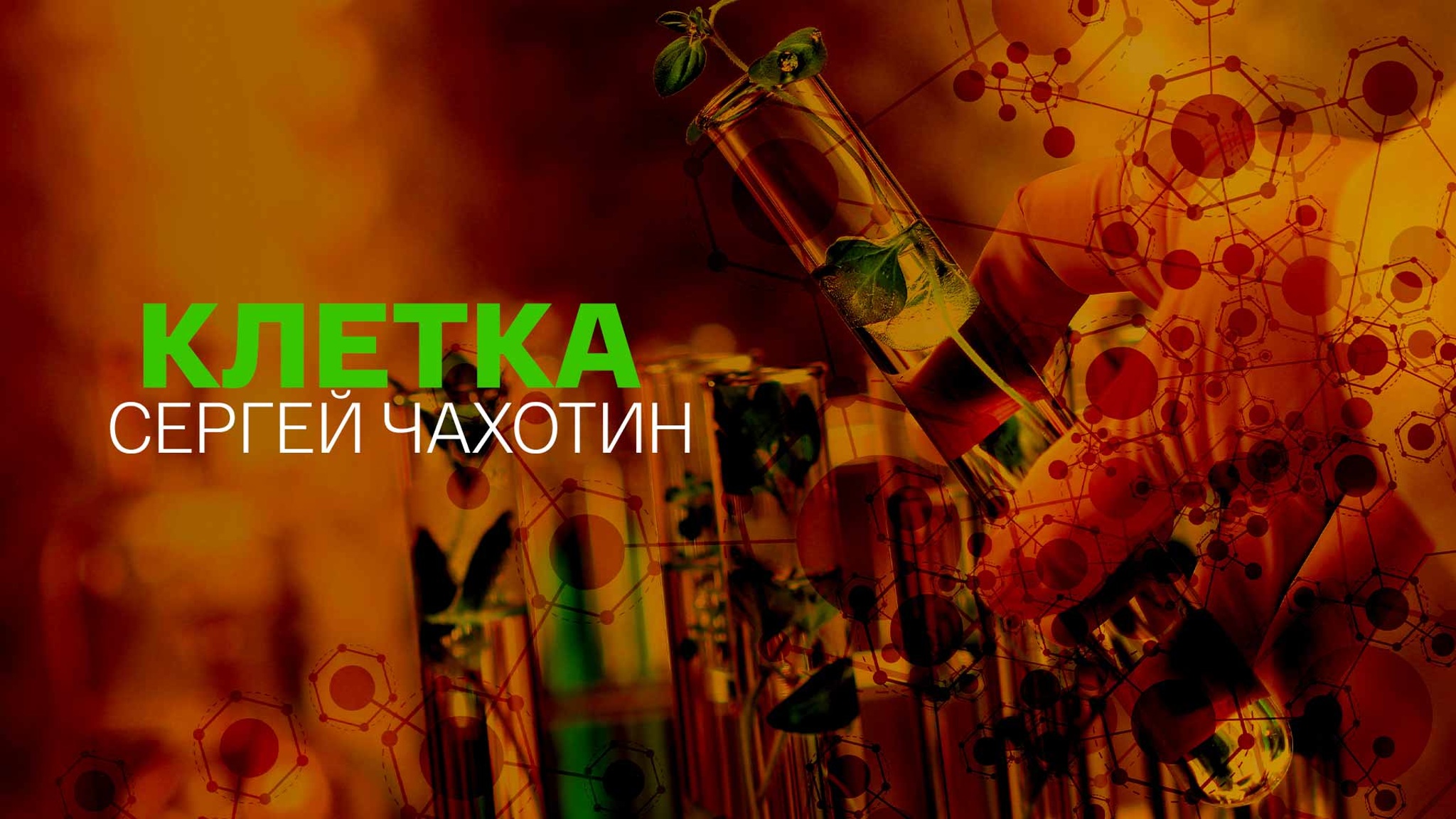 Клетка. Сергей Чахотин