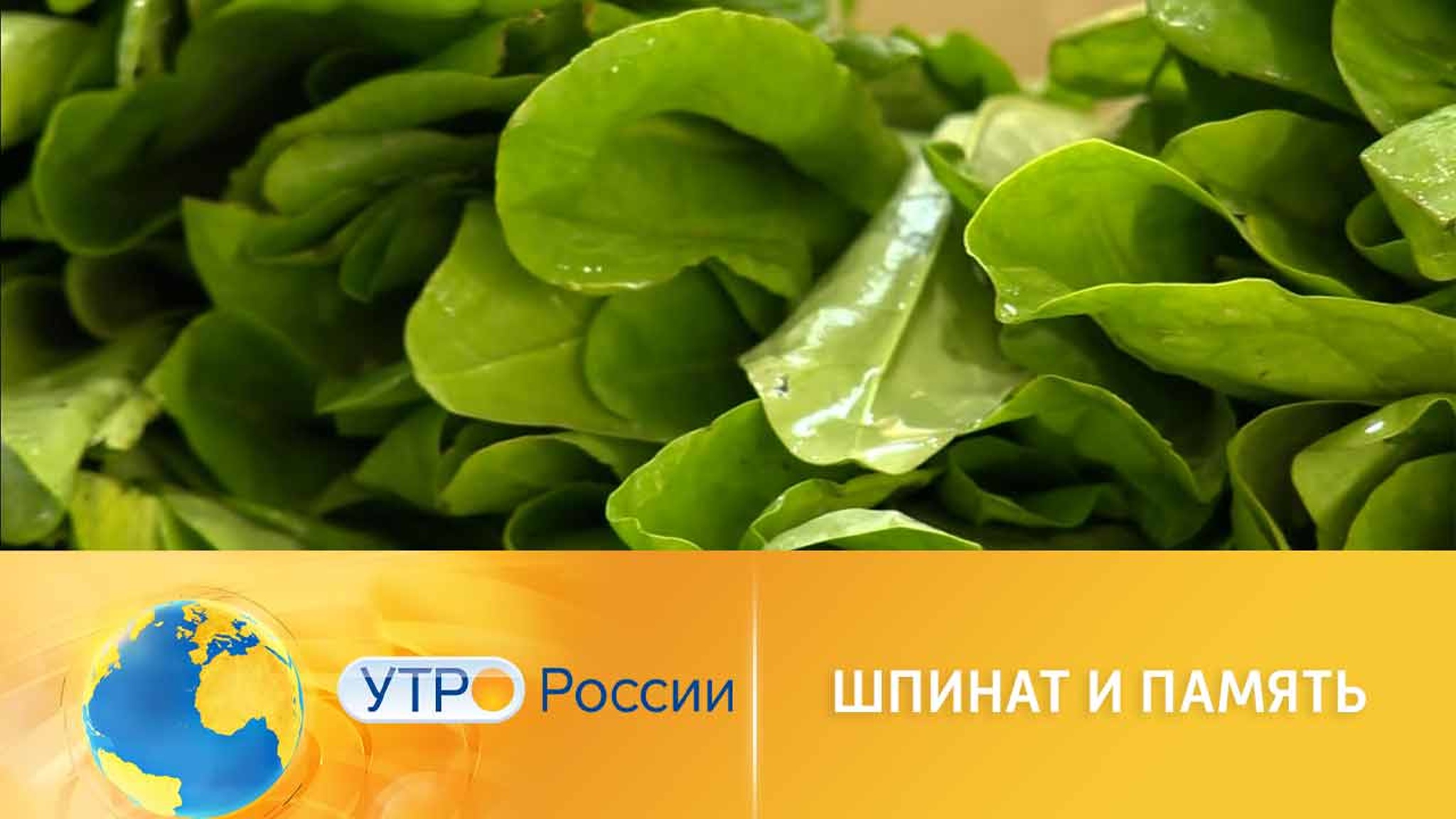 Медики открыли неожиданное свойство шпината
