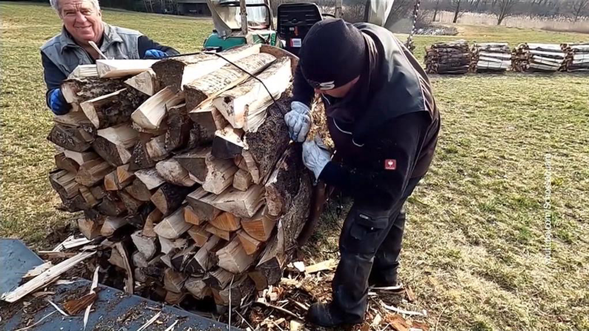 Европа переходит с газа на дрова