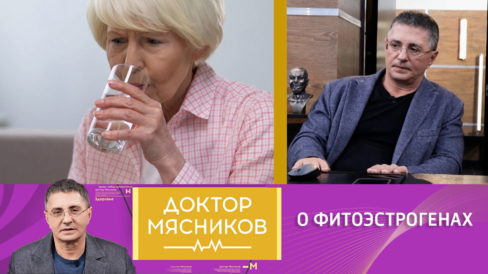 Как фитоэстрогены влияют на организм