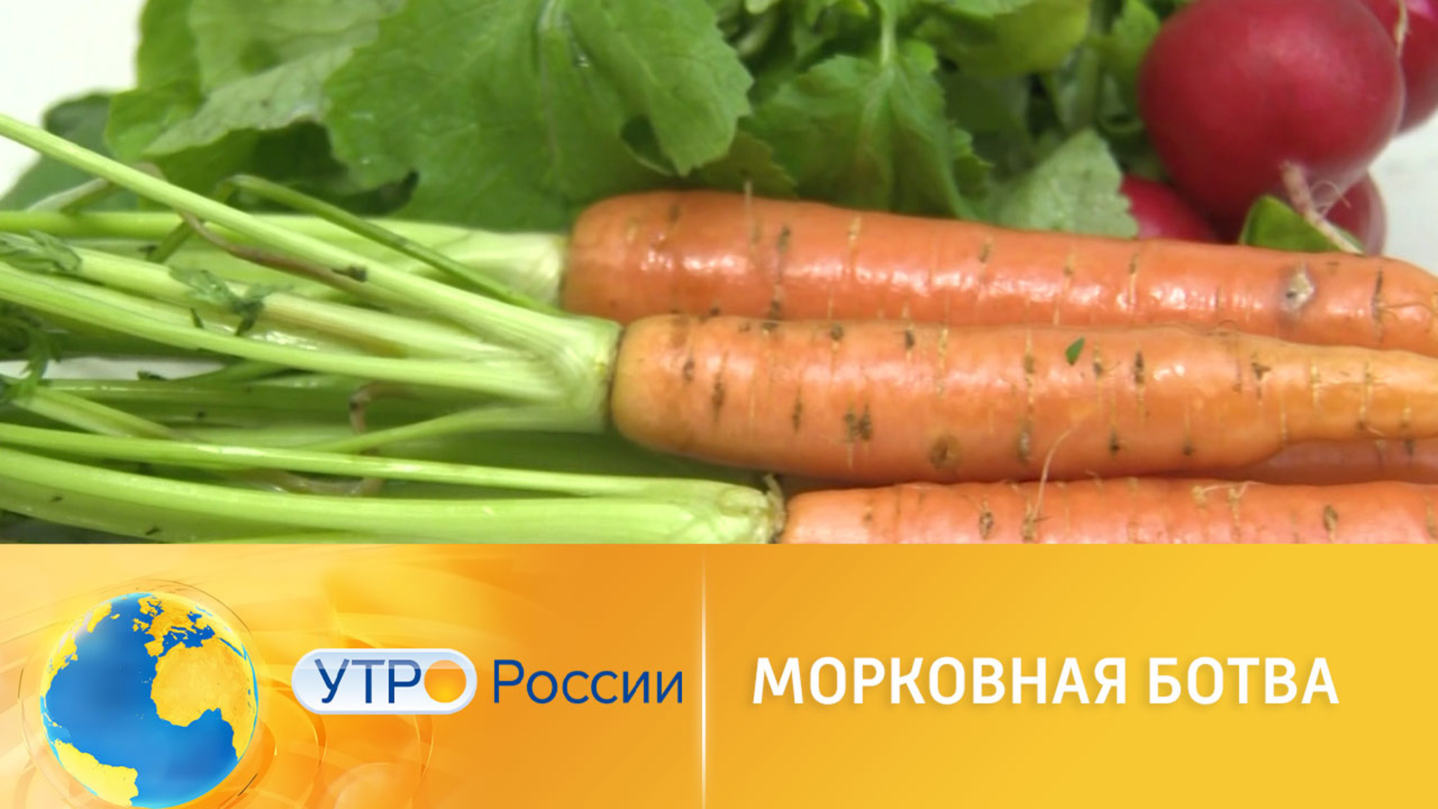 Чем полезна овощная ботва