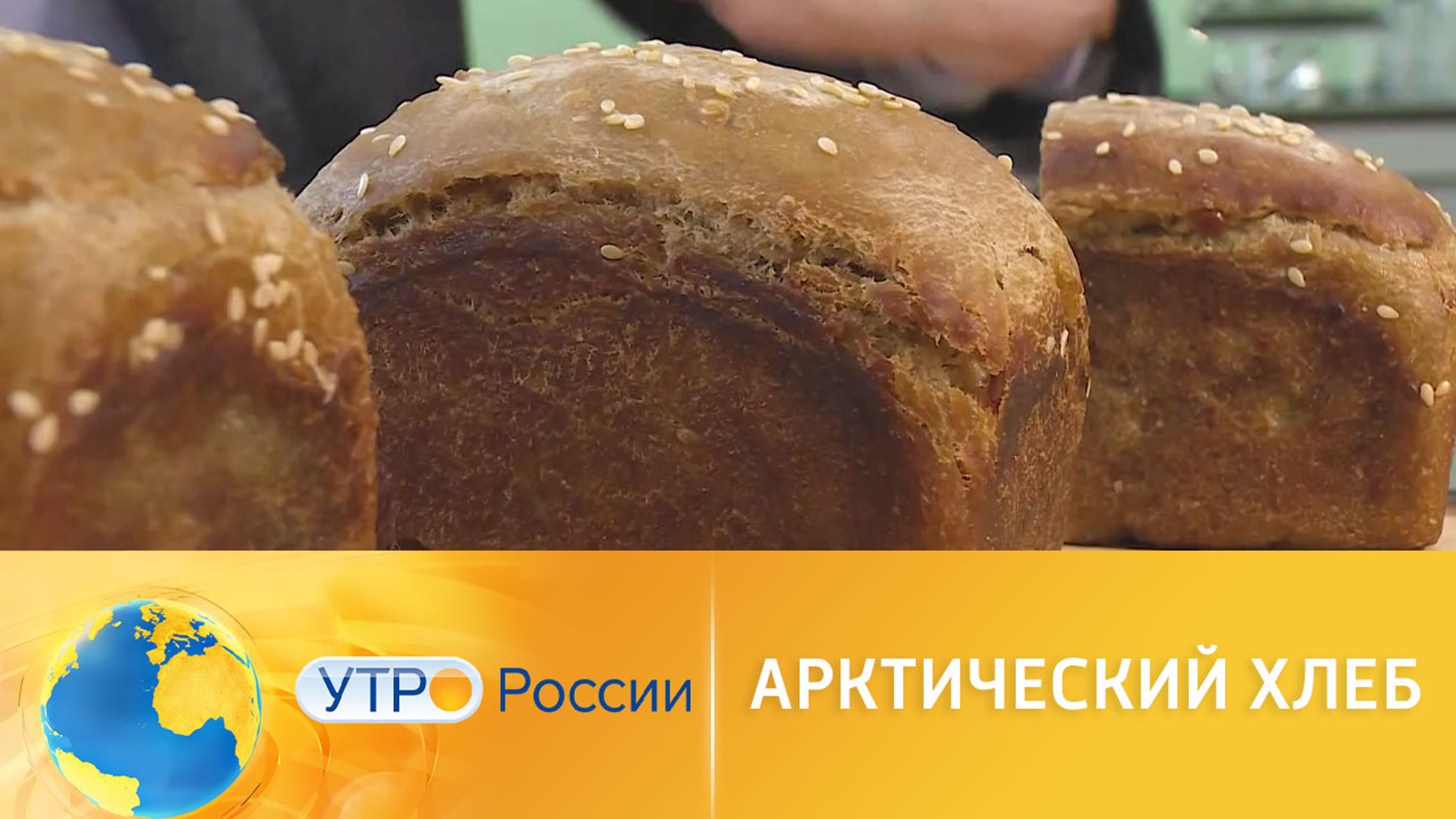 Для работников в Арктике разработали спецпитание