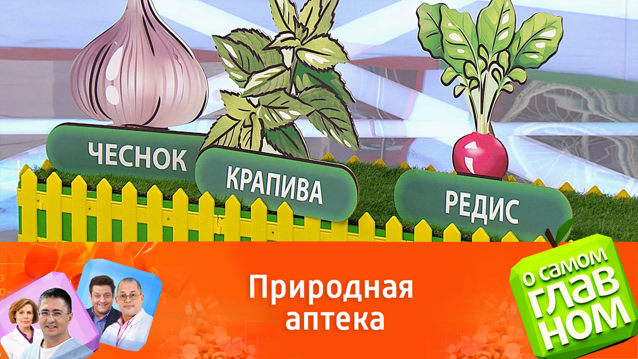 Овощи и зелень для долголетия