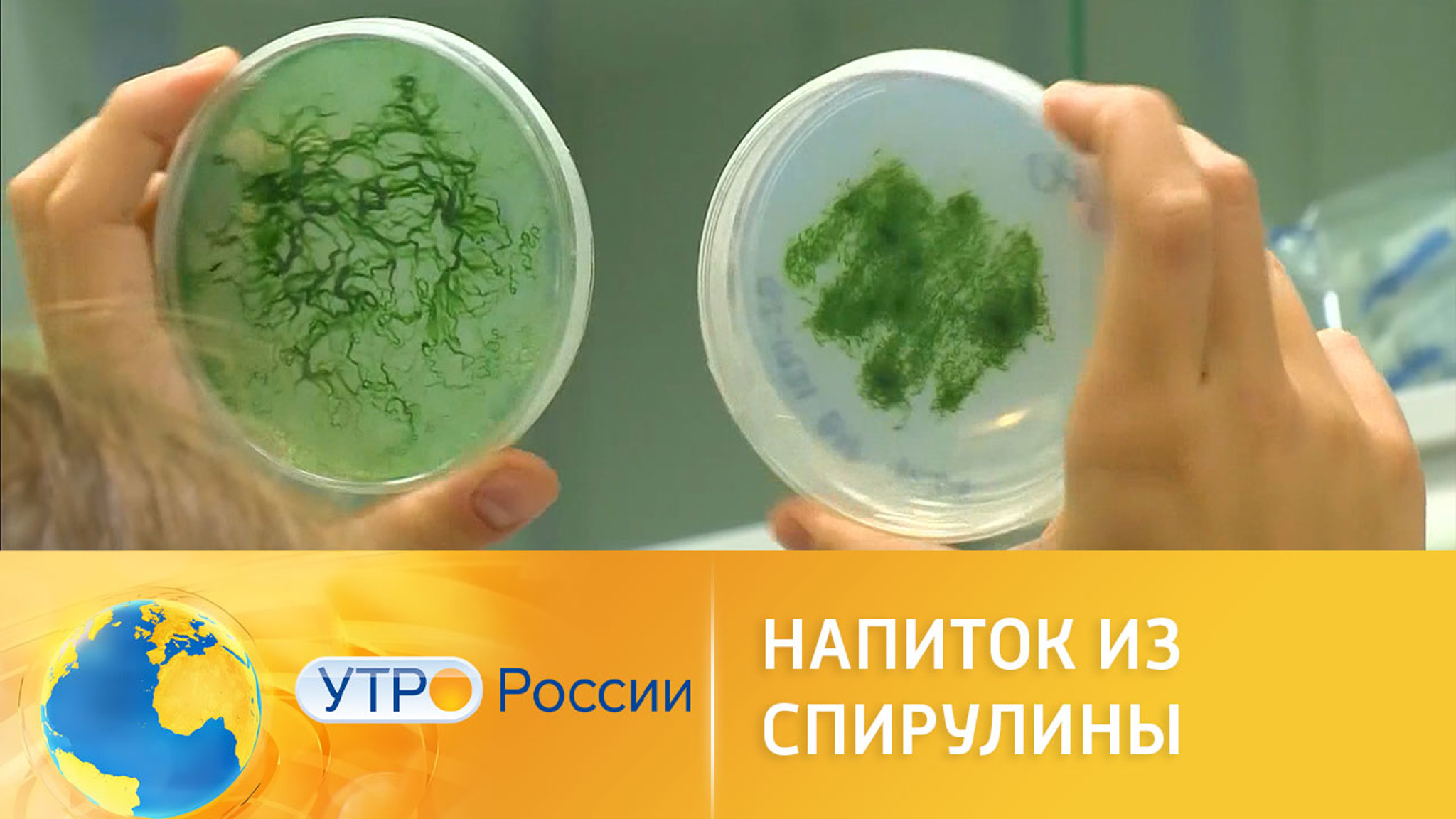 Рецепт напитка из спирулины