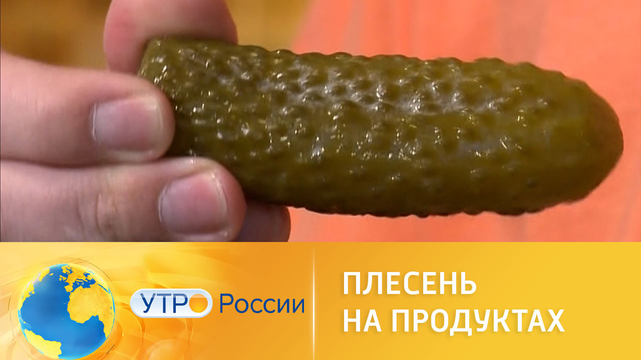 Чем грозит употребление заплесневелых продуктов
