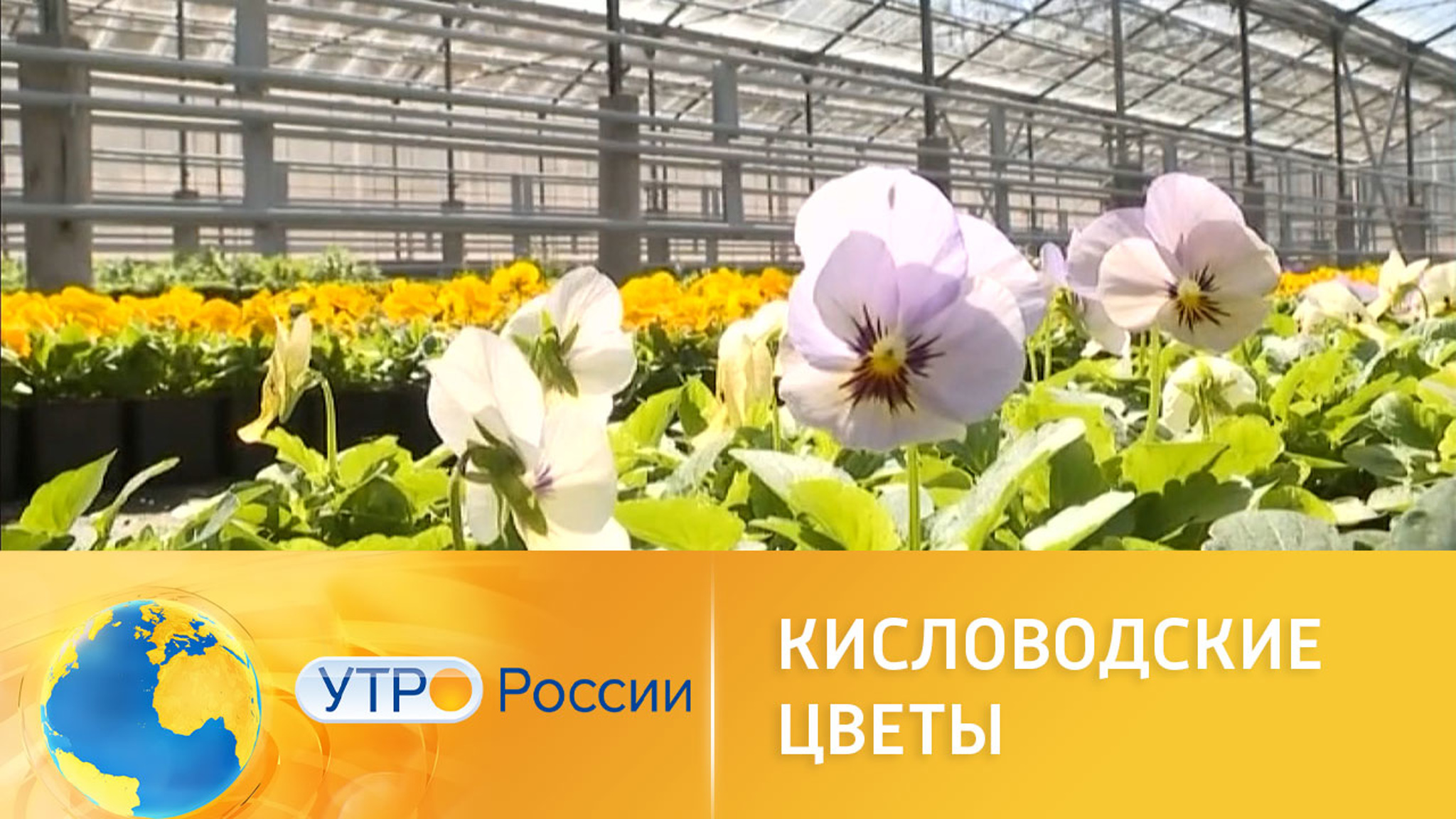 Цветочные традиции Кисловодска
