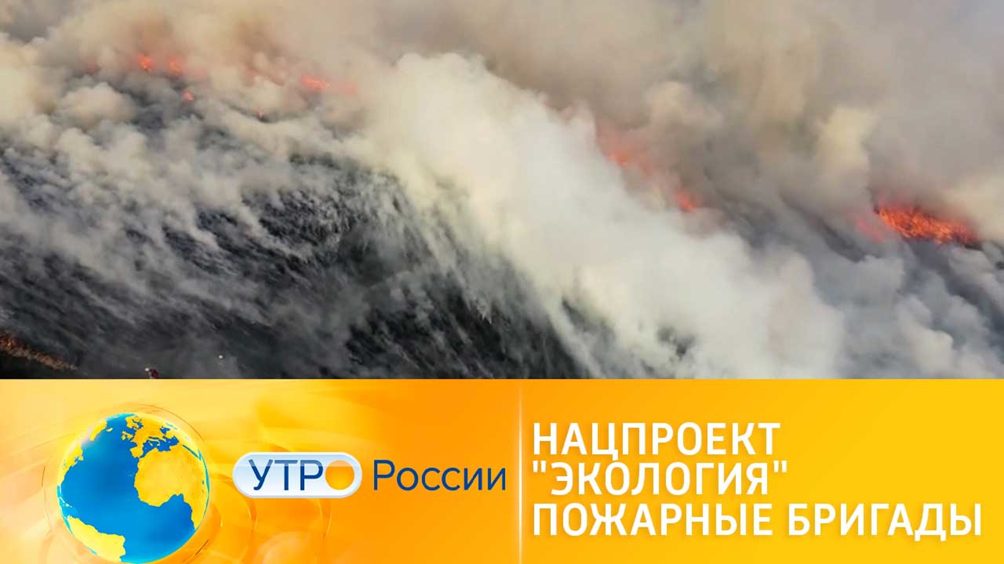 В заповедниках созданы подразделения по борьбе с природными пожарами
