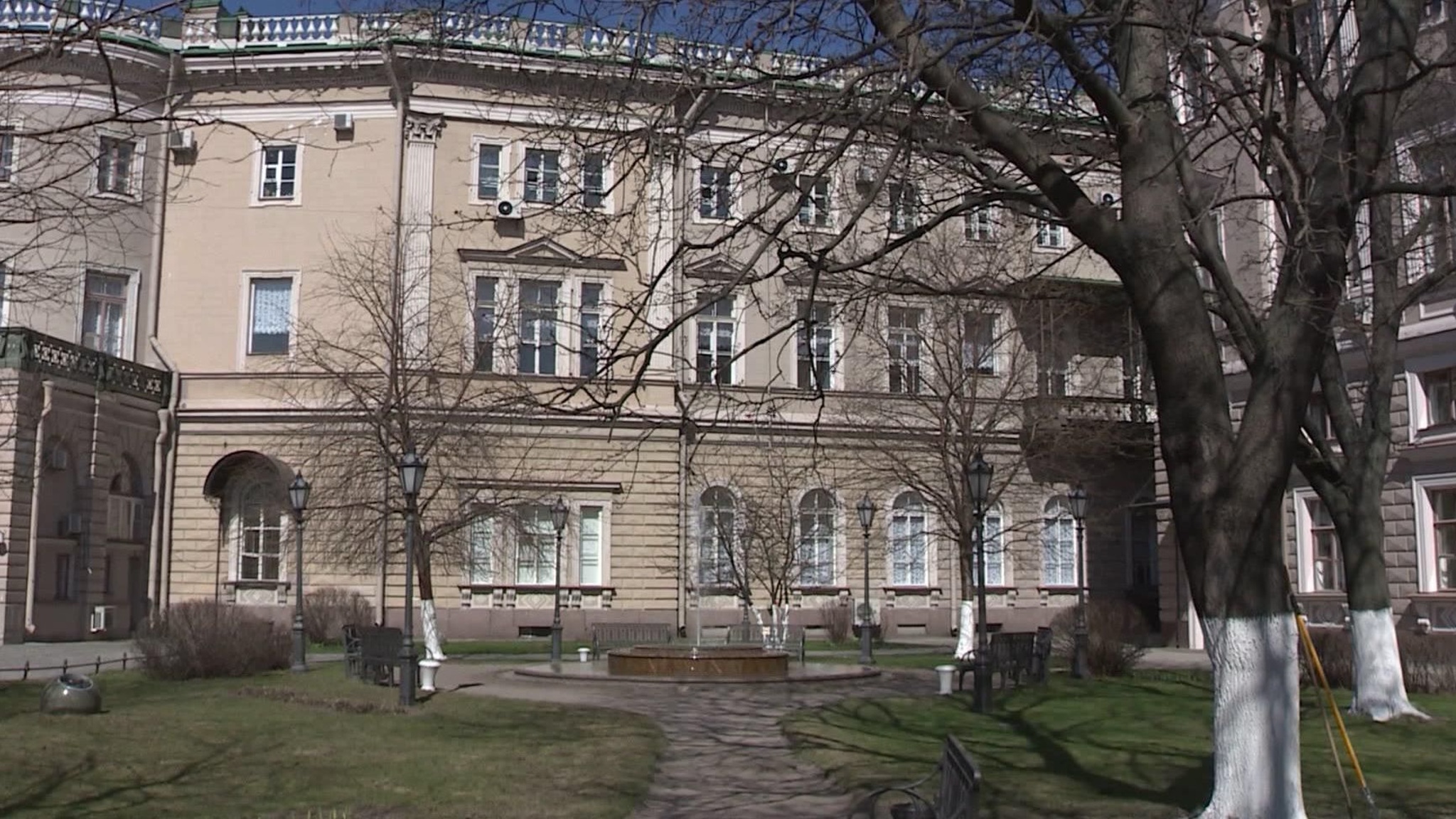 Саженцы, выращенные из желудей дуба Петра Первого, посадили в Мариинском саду