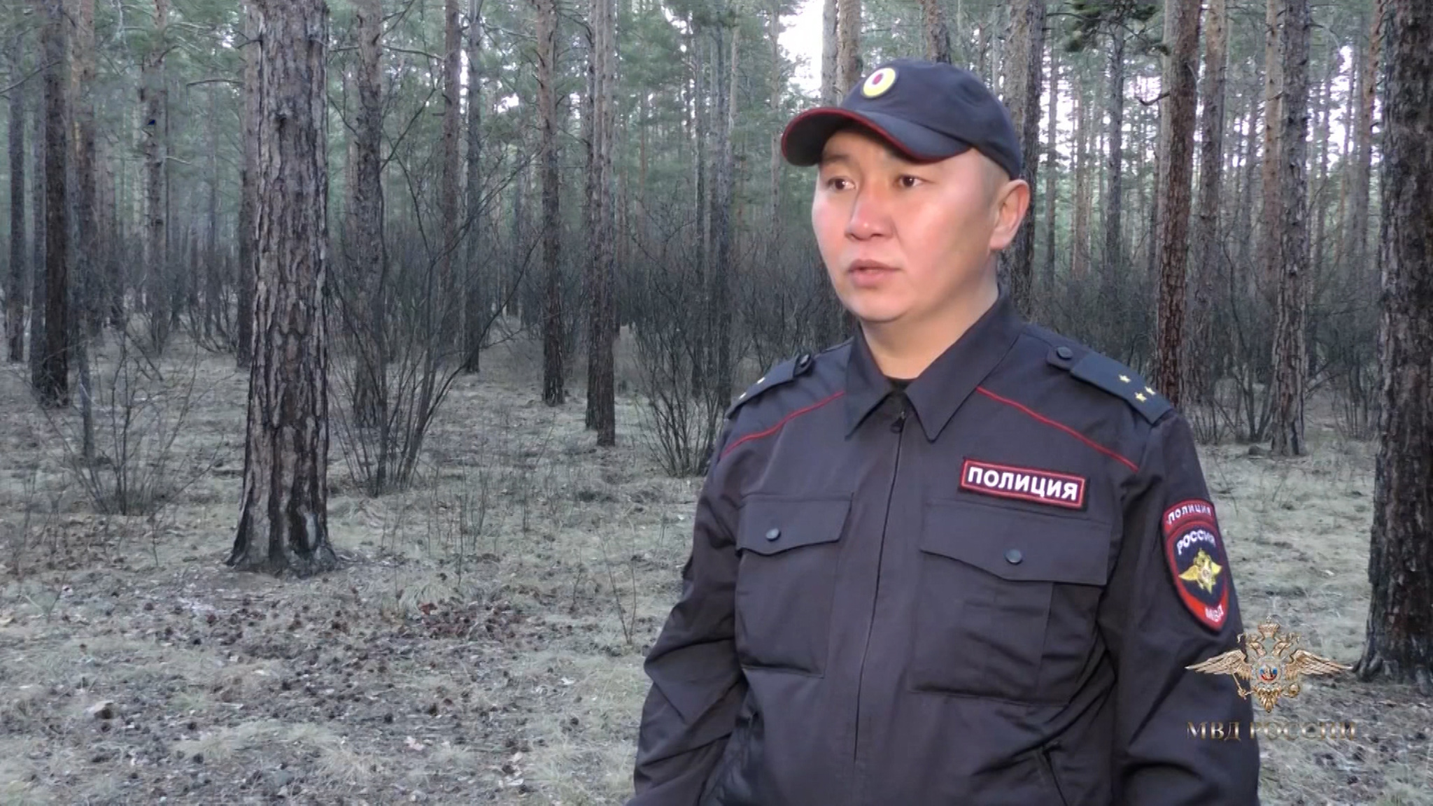 Задержавшего "черных" лесорубов полицейского наградят медалью