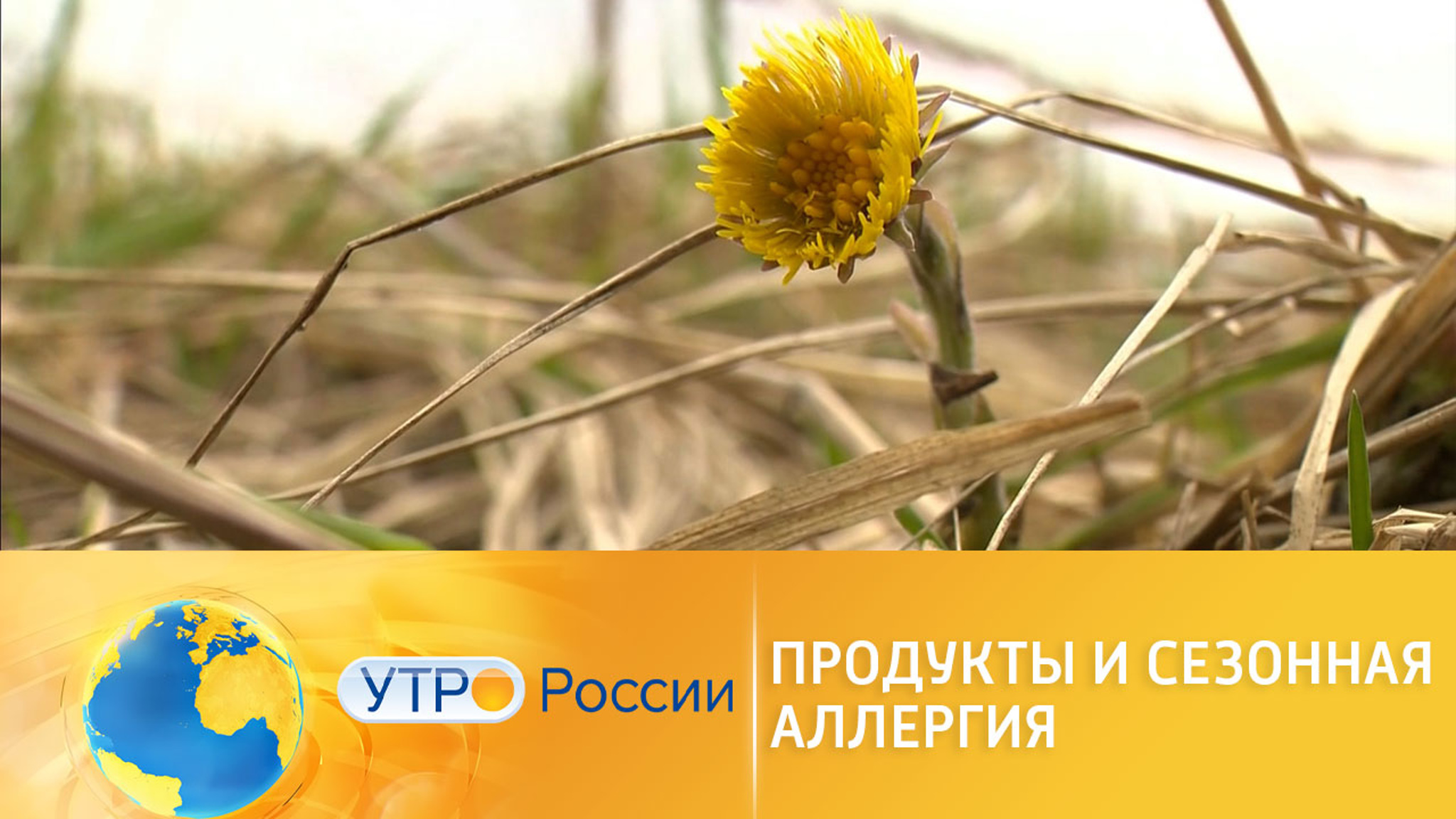 Питание во время сезонной аллергии