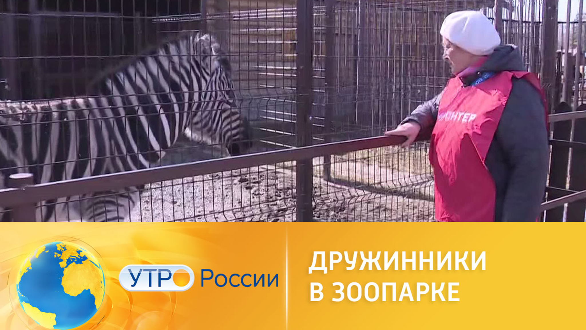 Как дружинники следят за животными в зоопарке