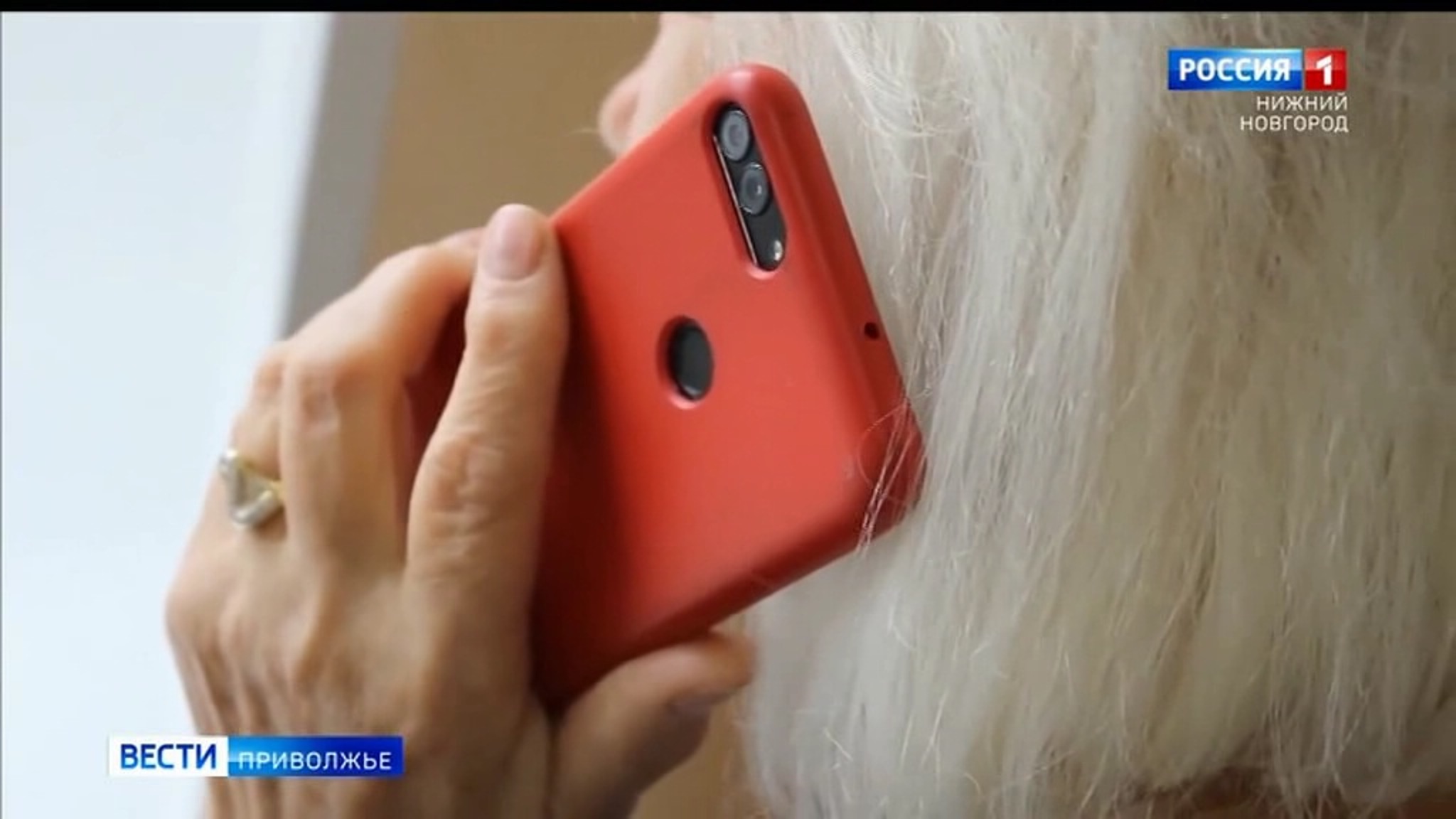 Нижегородка хотела купить телевизор, но стала жертвой мошенников