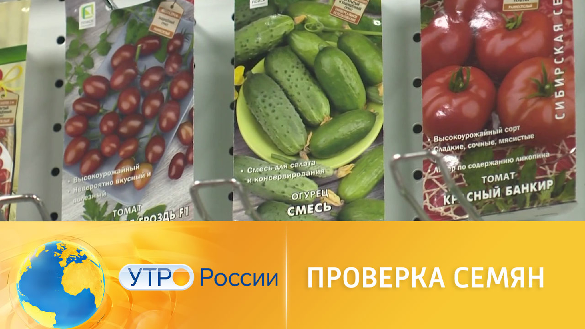 Покупка семян: на что обратить внимание