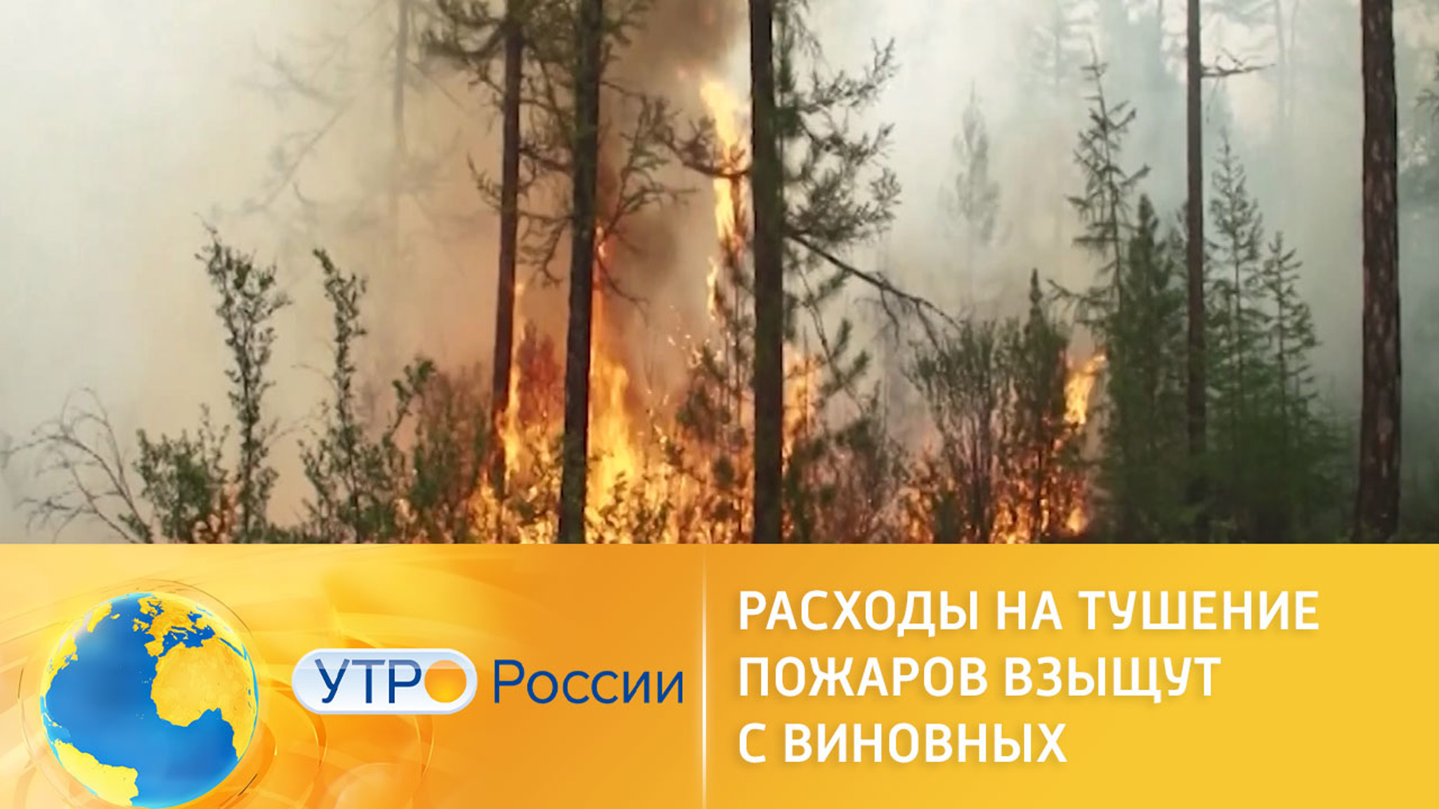 С виновников пожаров взыщут расходы на тушение