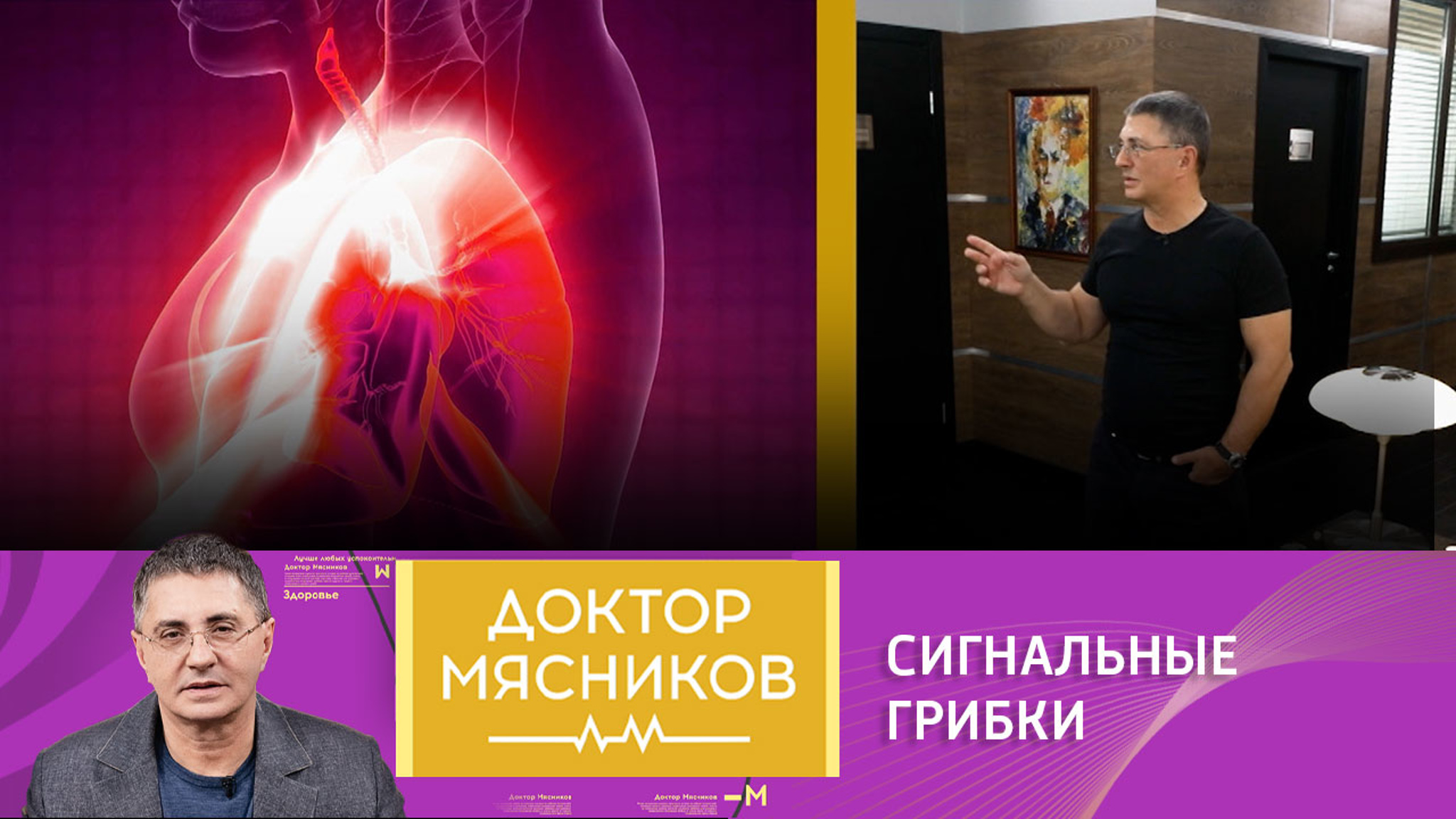 Сигнальные грибки