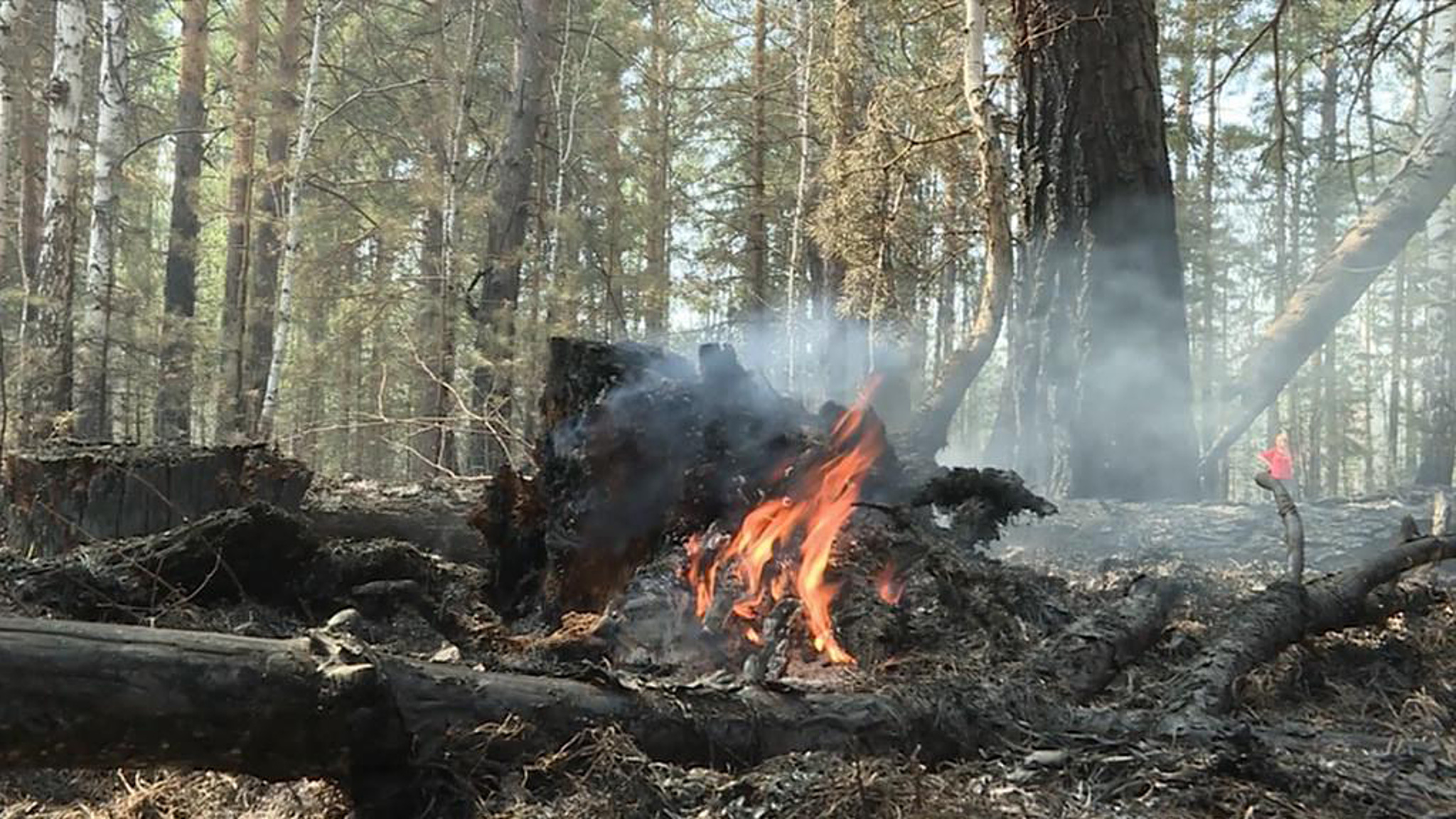 Пламенем охвачено более 12 тысяч гектаров в Кургане