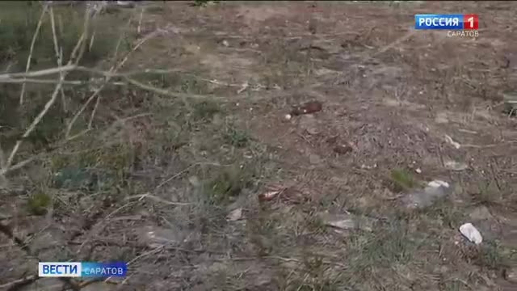 Острова Заячий и Казачий напротив Саратова очистят от мусора