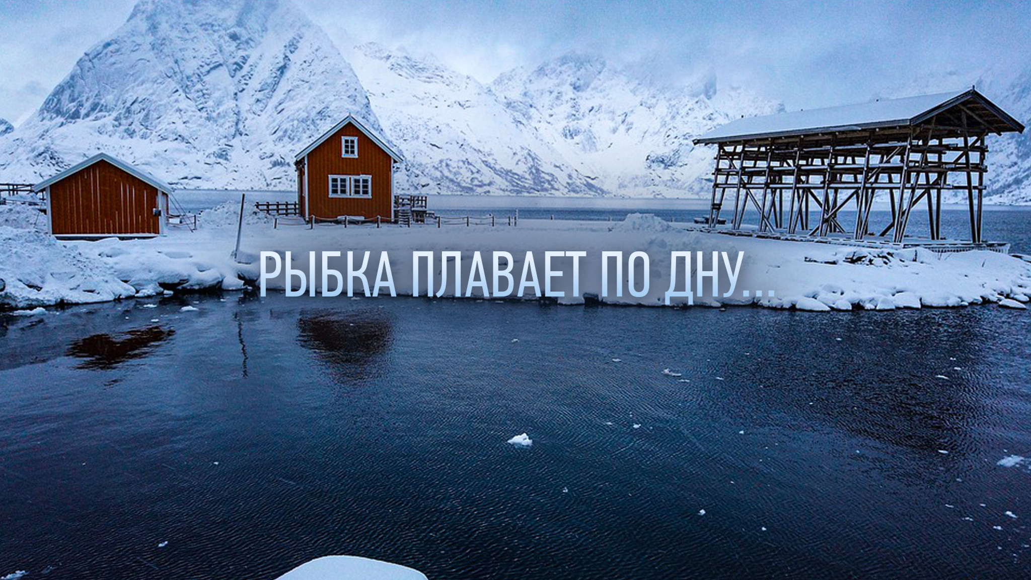 Рыбка плавает по дну...