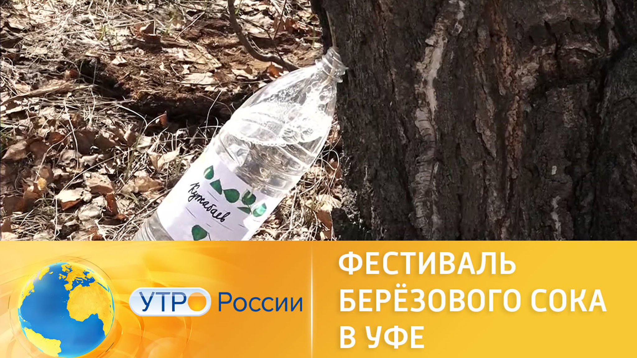 Фестиваль березового сока проходит в Уфе