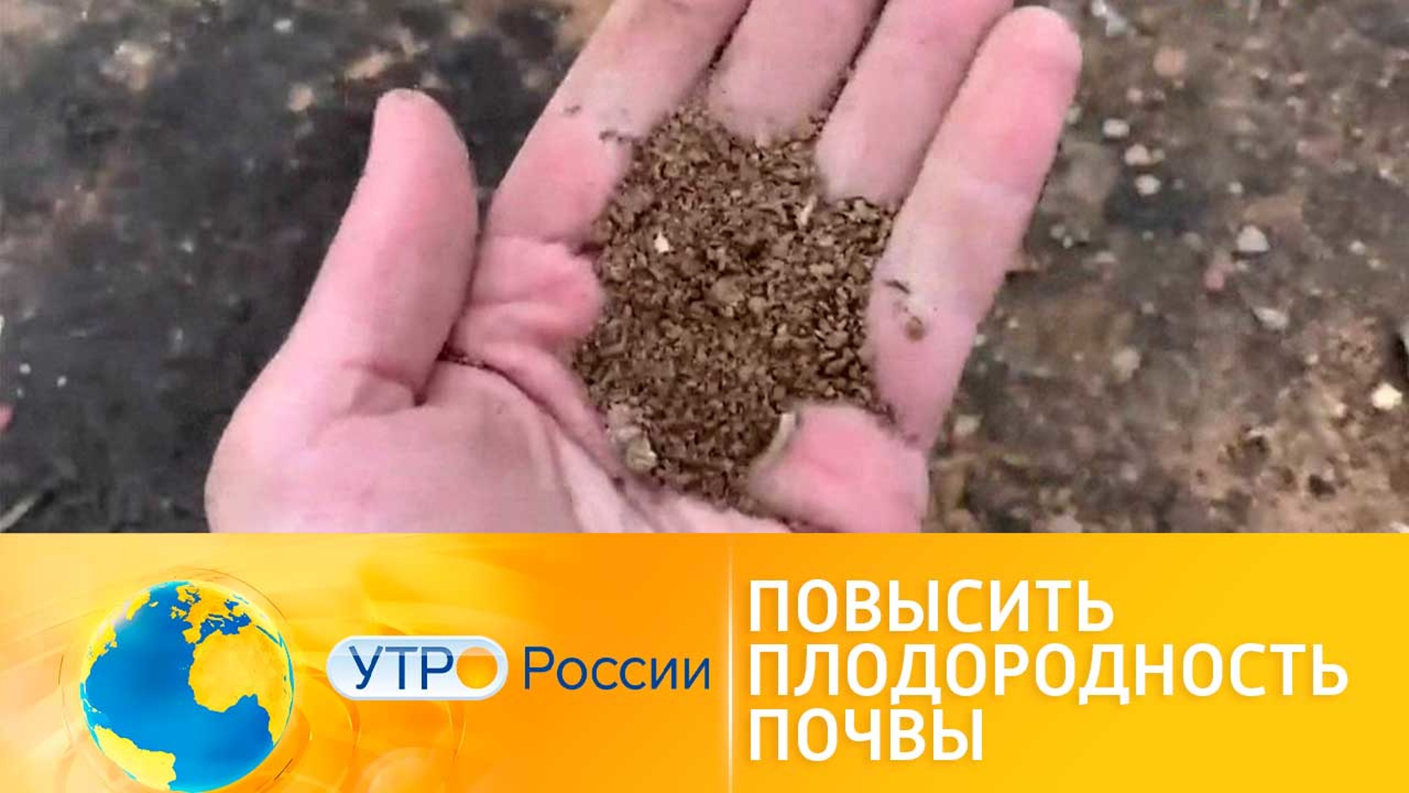 Плодородность почвы: как сохранить и повысить