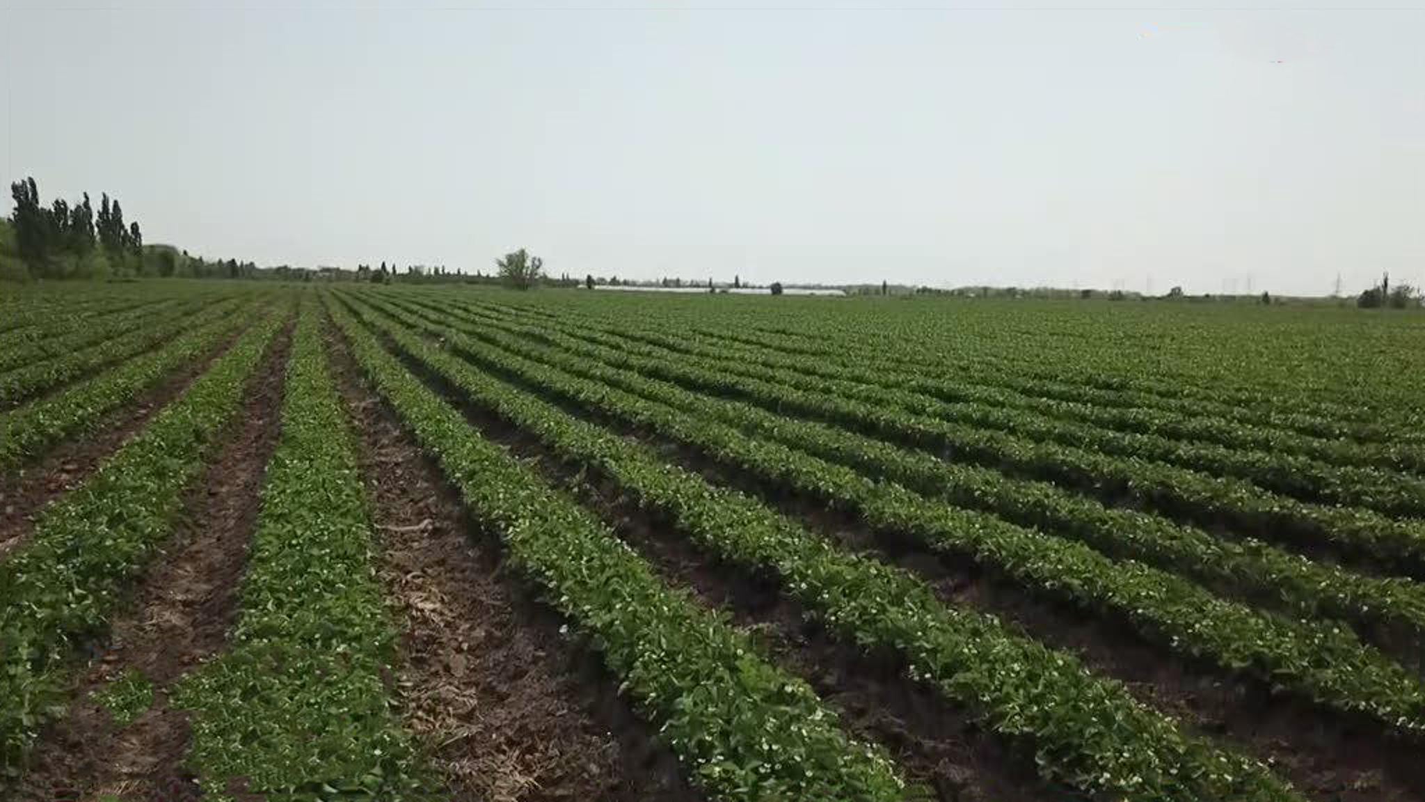 Эфир от 15.05.2022. Английские субтитры