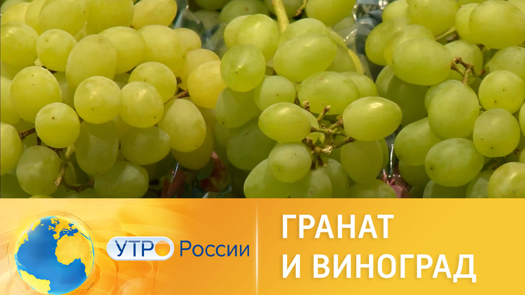 Есть или выплевывать: вредны ли косточки граната и винограда