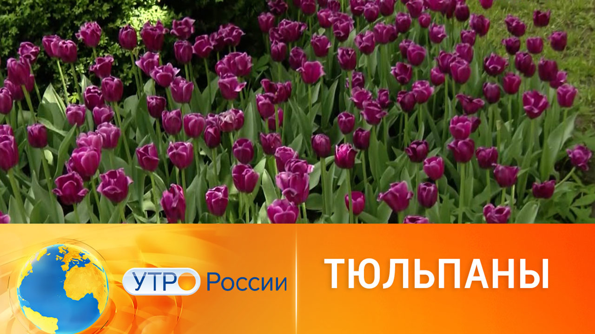 В Белгороде прошел фестиваль "Река в цвету"