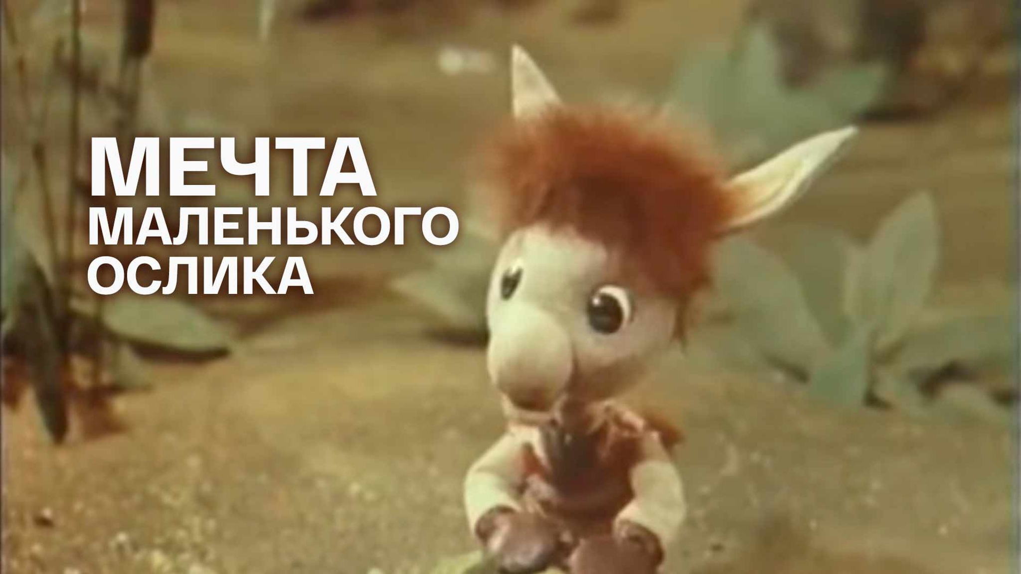 Мечта маленького ослика